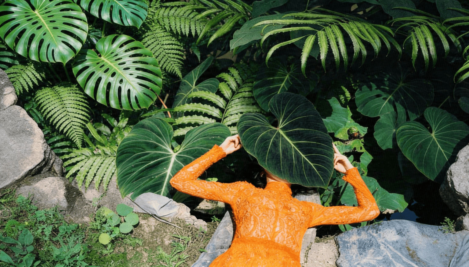 How to Find TikTok Influencers for Your Brand (2026 Guide)